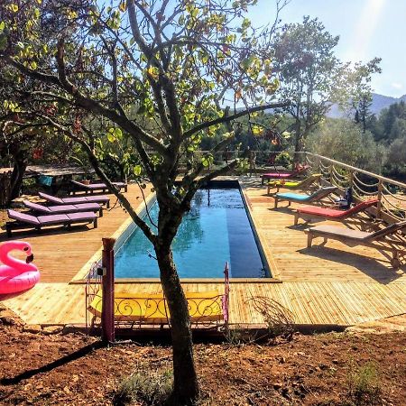 Arche De Noe Atypique, Boheme , Nature, Piscine Chauffee De Paques A Toussaint , Spa , Sauna , Loisirs Le Beausset Exterior foto